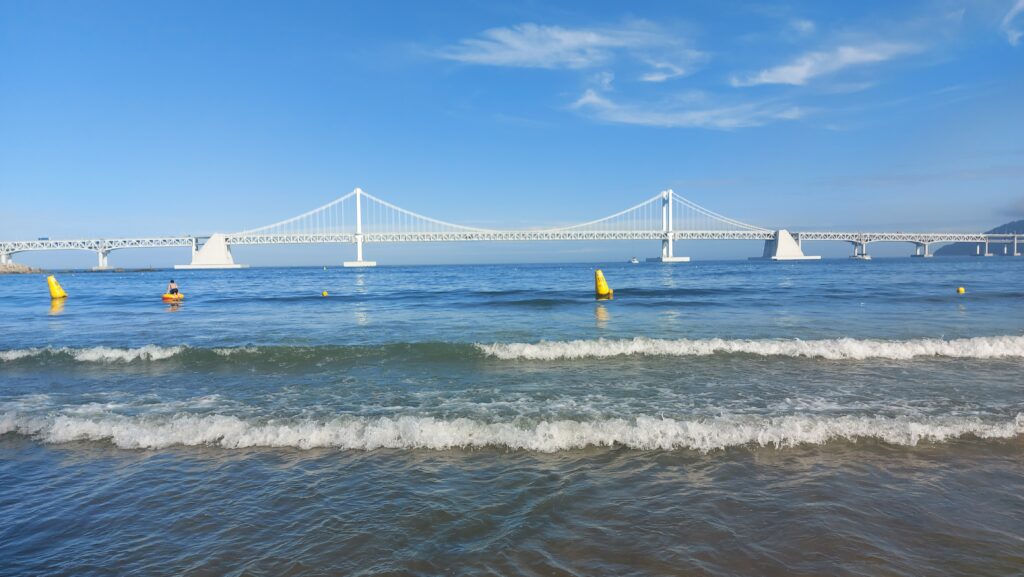 Gwangalli Beach and the illuminated Gwangan Bridge, best at night. (Wikimedia Commons)