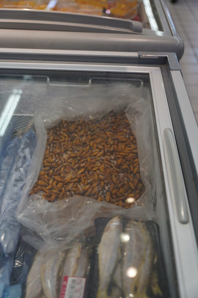 Frozen silkworm pupae sold at a supermarket — the raw ingredient for home-cooked beondegi. (Photo: Benlisquare, CC BY-SA 4.0 via Wikimedia Commons)
