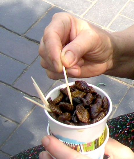 Beondegi served in a paper cup with toothpicks, the classic Korean street-snack format. (Photo: Nesnad, CC BY 3.0 via Wikimedia Commons)