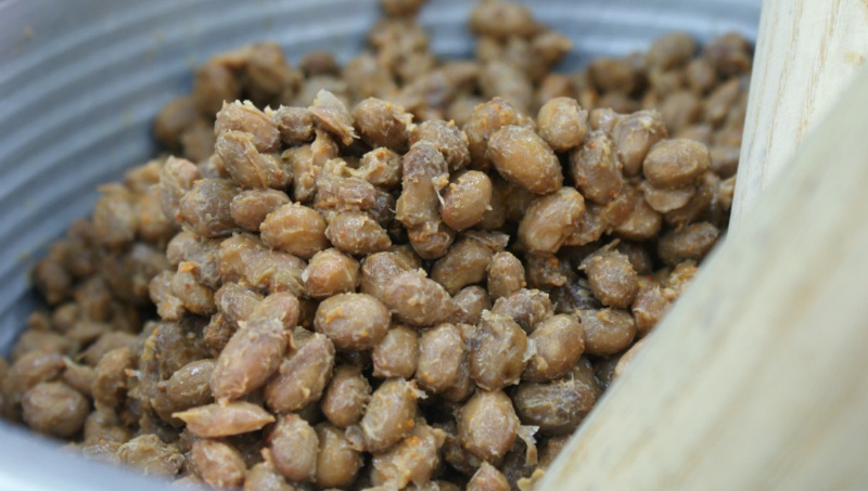 Freshly made cheonggukjang paste, showing the whole soybeans and sticky strands from fast fermentation. (Photo: 美知, CC BY 2.0 KR via Wikimedia Commons)