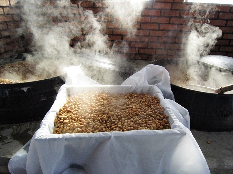 Boiled soybeans prepared for cheonggukjang before fermentation. (Photo: 경빈마마, CC BY 4.0 via Wikimedia Commons)