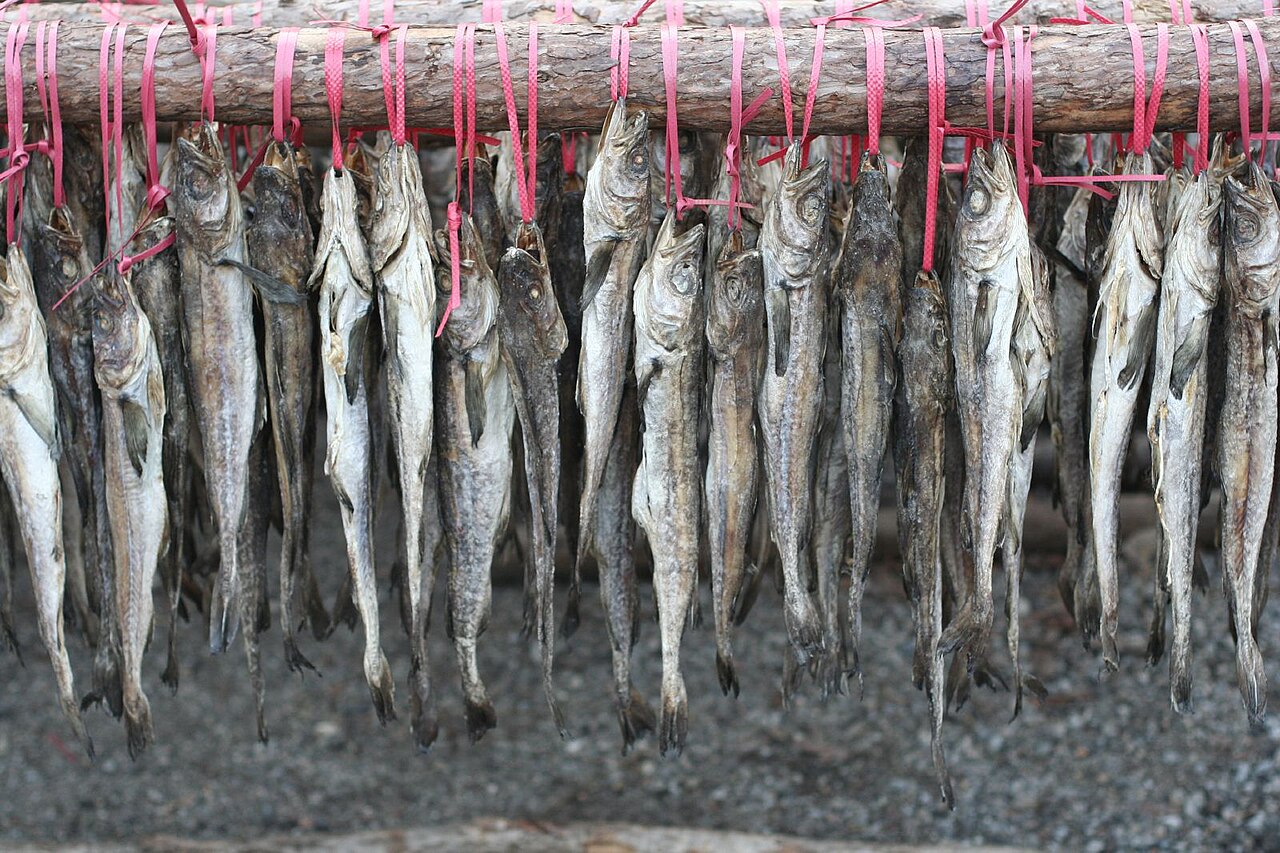 Hwangtae (황태) drying on open-air racks through the winter near Seoraksan. (Photo: James Ho, CC BY-SA 2.0 via Wikimedia Commons)
