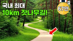 Jat-hyanggi Pureun-sup healing forest trek, Gapyeong (still from the source trekking video).