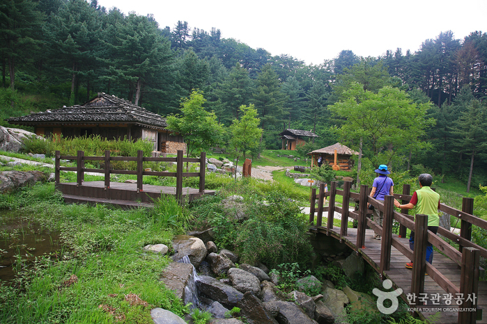 Inside the pine-scent healing forest at Jat-hyanggi Pureun-sup, Gapyeong. Photo: Korea Tourism Organization (출처: 한국관광공사).