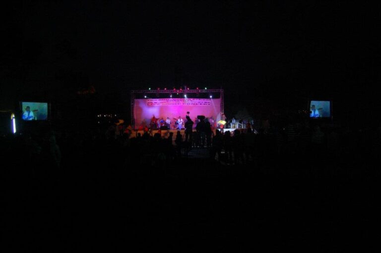A live concert crowd under stage lights (Photo: Alpharockindia, CC BY-SA 3.0, via Wikimedia Commons)