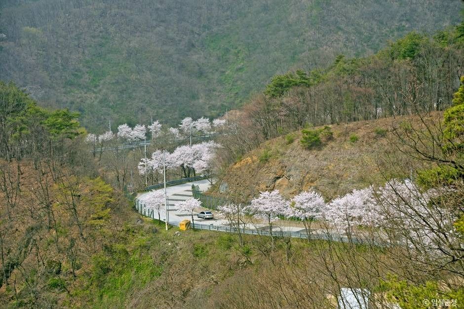 Okjeongho and Bungeoseom (붕어섬) island seen from the Guksabong observation deck (국사봉 전망대) — the classic vantage point over the lake. Photo: Korea Tourism Organization (출처: 한국관광공사).