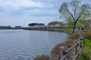 Ilsan Lake Park in Goyang, reported as a filming location for The Atypical Family (representative; not confirmed by the production). (Photo: Travel oriented, CC BY-SA 2.0, via Wikimedia Commons)